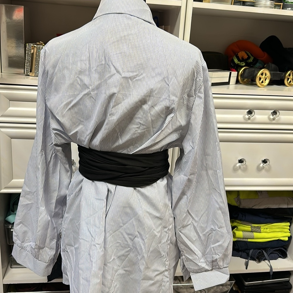 Blue Pin Button Down (Plus) - Picture 3 of 4